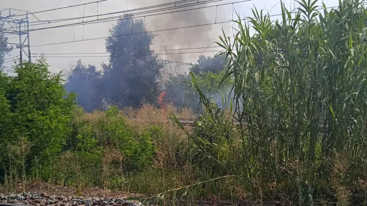 TROFARELLO: Treno trancia un cavo e causa un rogo lungo la ferrovia. Convogli bloccati