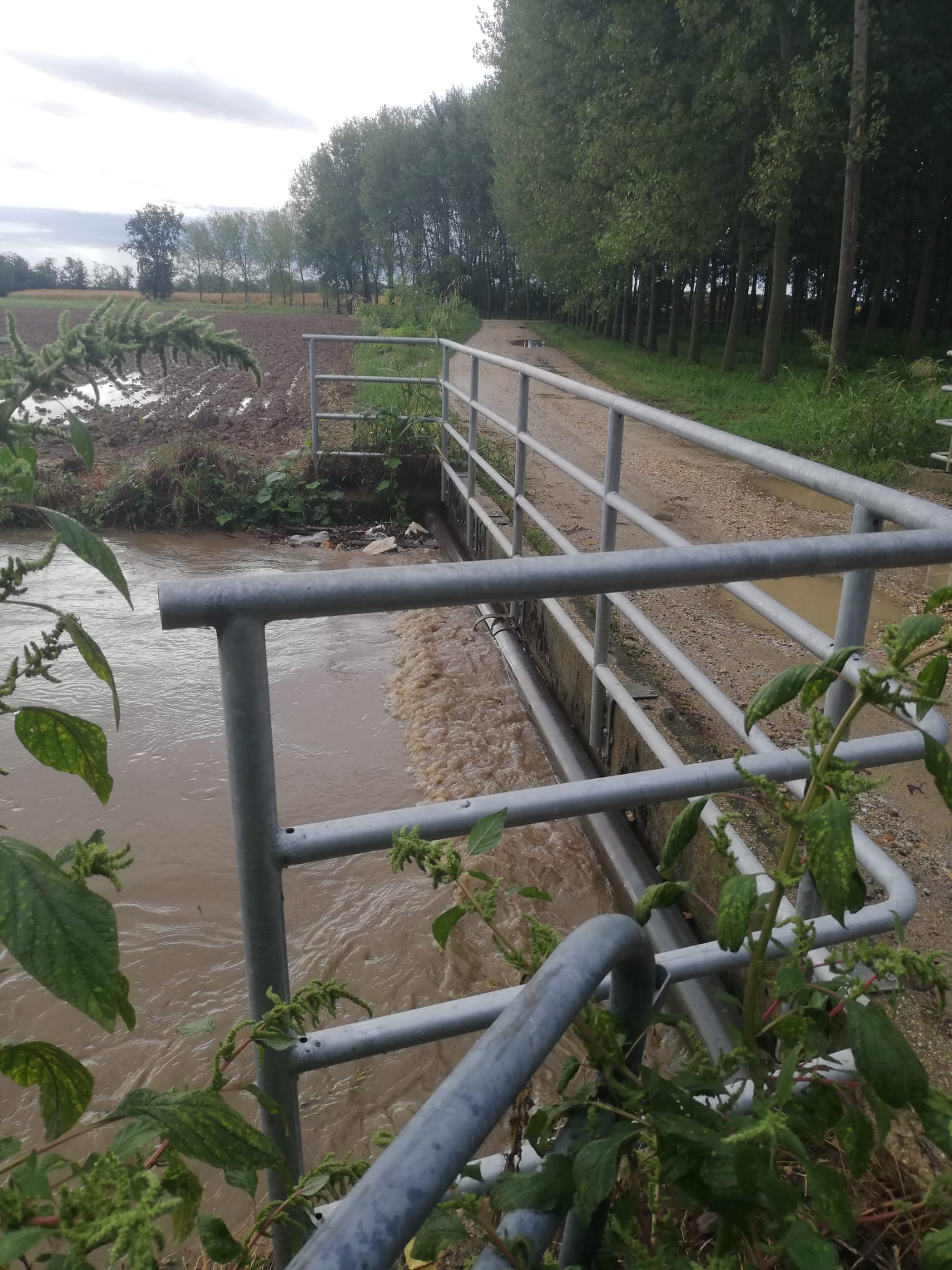 TROFARELLO – Chiuso il ponte sul Tepice in frazione Gallè