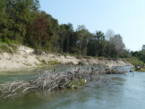 CARMAGNOLA – Iniziati i lavori sul Po all’altezza del Gerbasso