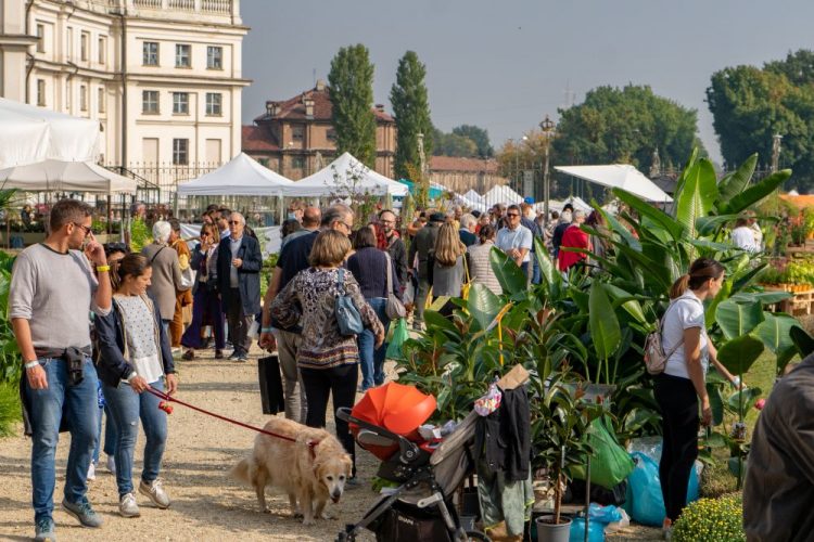 NICHELINO – Tutto il programma di FloReal a Stupinigi