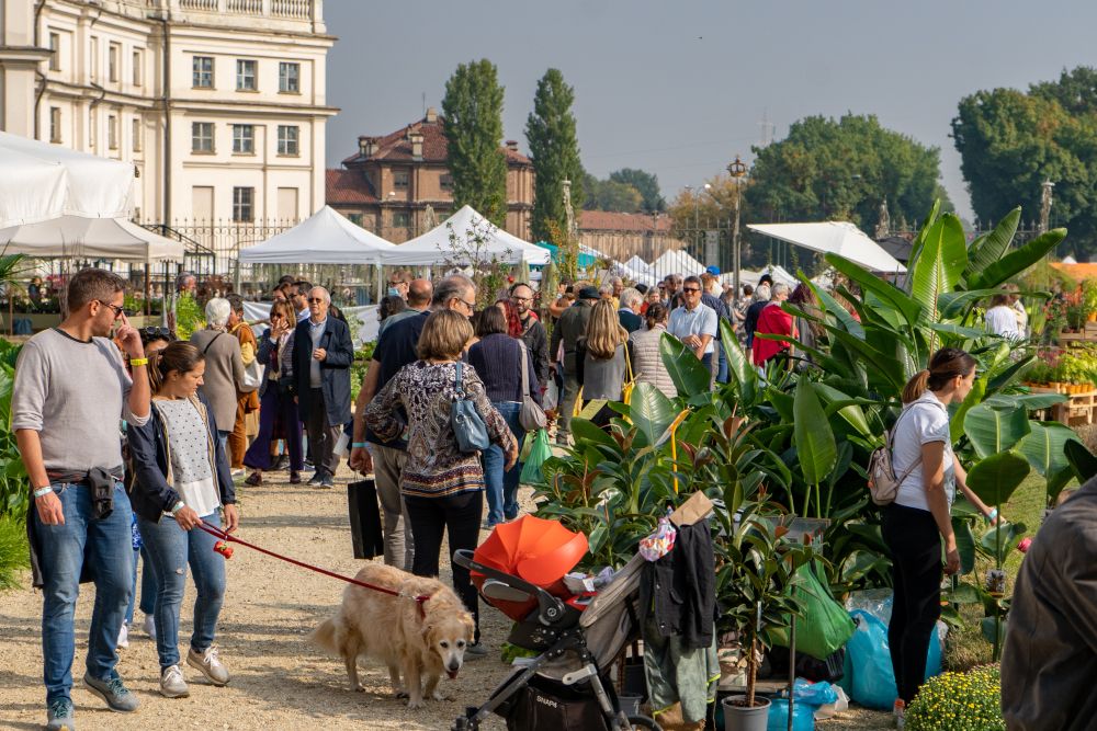 NICHELINO – Tutto il programma di FloReal a Stupinigi