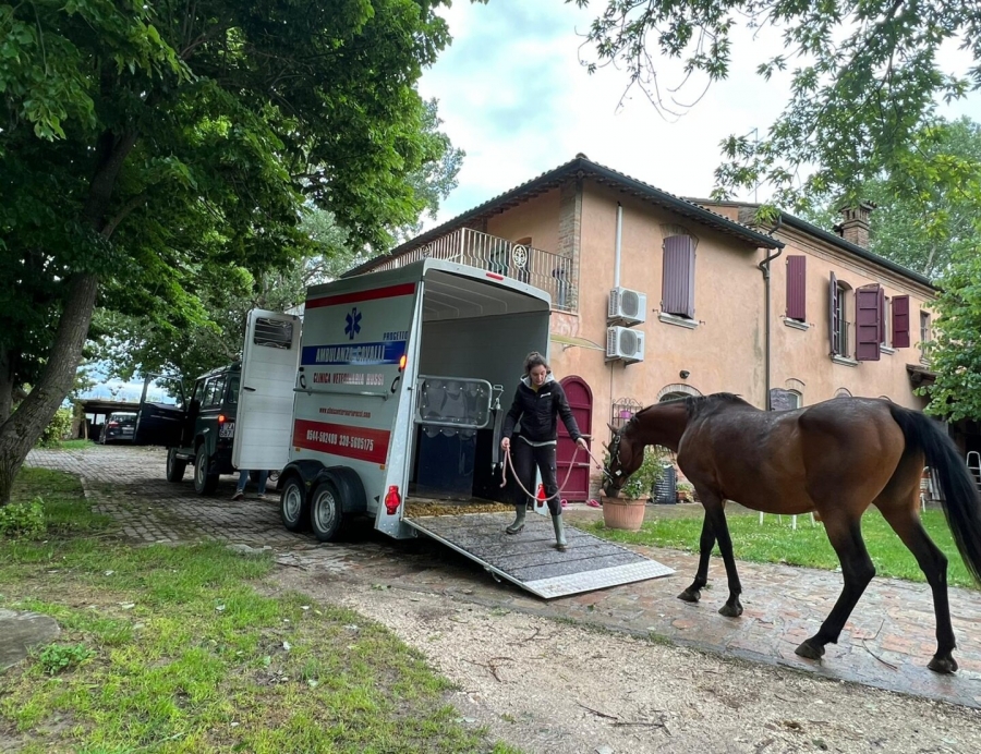 VINOVO – In arrivo la nuova ambulanza veterinaria per l’ippodromo