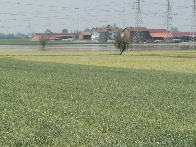 CARMAGNOLA – Le reazioni all’addio del deposito nucleare, la politica: ‘Vittoria del buon senso’