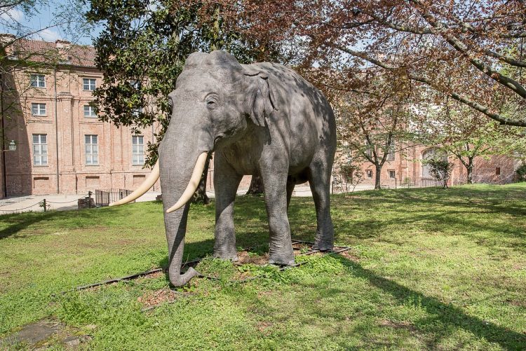 STUPINIGI – L’amico Fritz: la storia dell’elefante e del serraglio degli animali esotici
