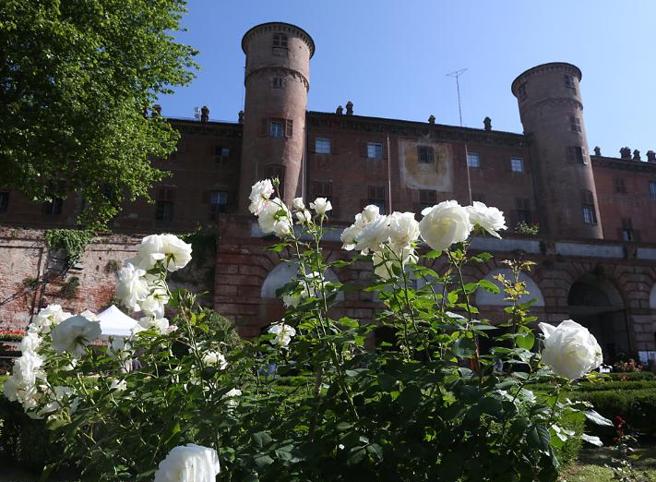 MONCALIERI – Castello illuminato contro la pena di morte