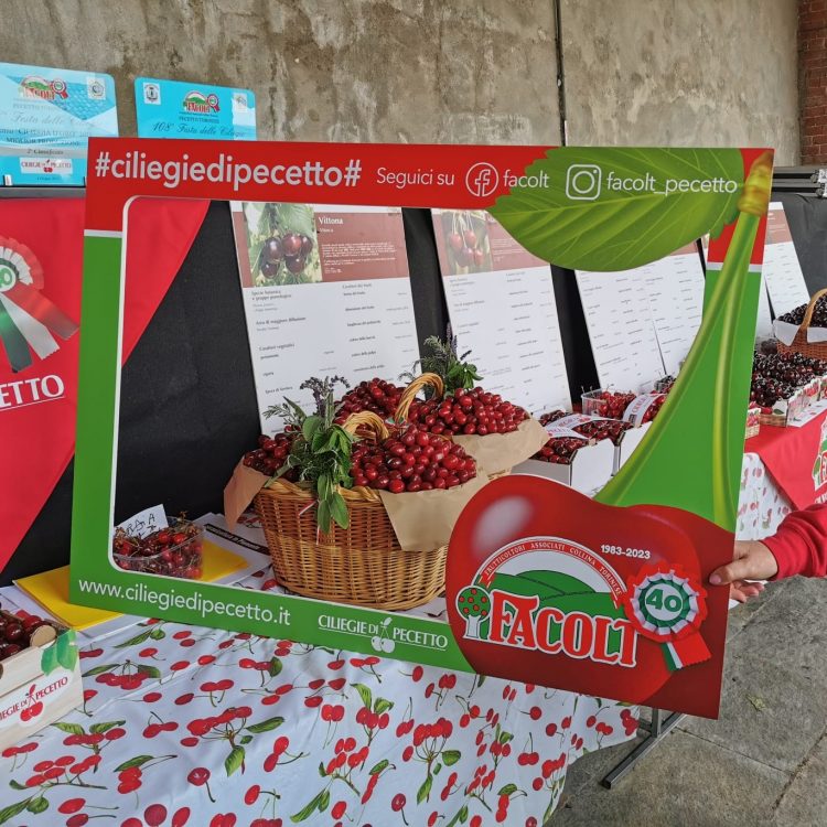 PECETTO – Arriva il fine settimana della festa delle ciliegie