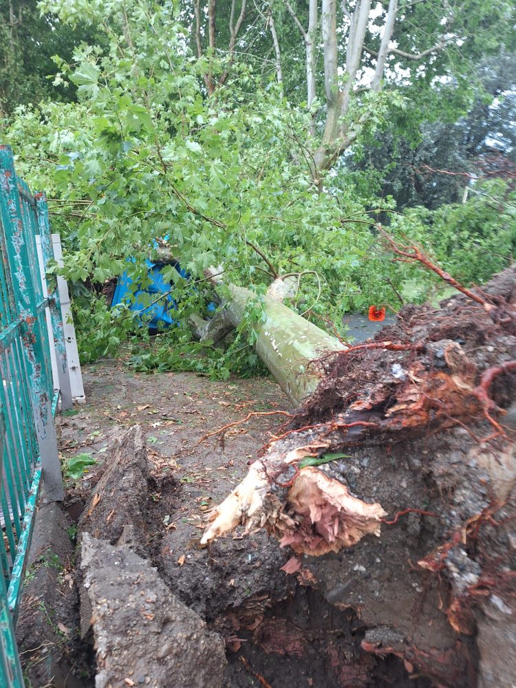 MONCALIERI – Alberi crollati ovunque, ingresso del pronto soccorso allagato