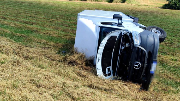 Si ribalta per evitare un cinghiale mentre percorre la «29»