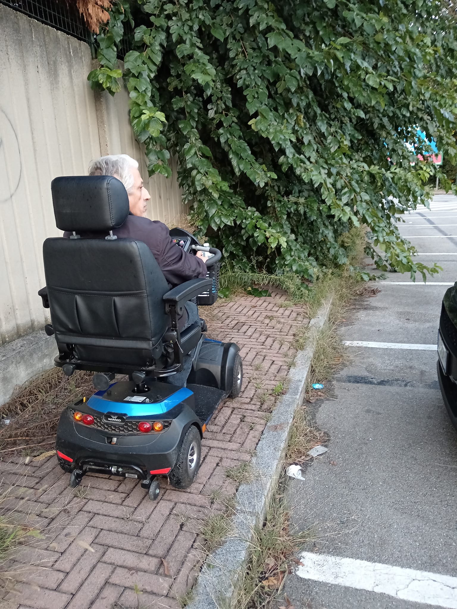 NICHELINO – Troppa vegetazione ostruisce il marciapiede e li disabile non può passare