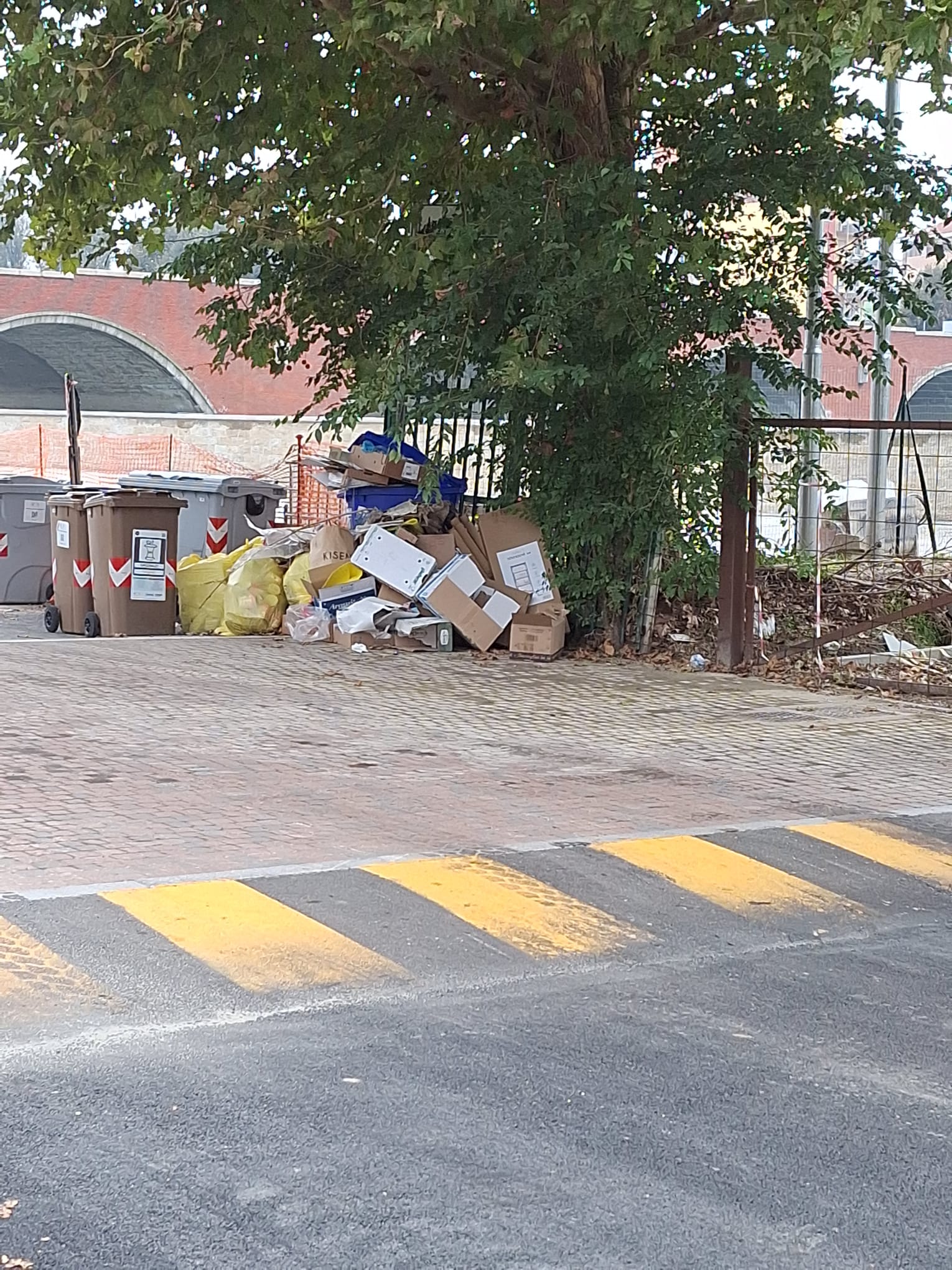 MONCALIERI – Rifiuti abbandonati in Lungo Po Abellonio