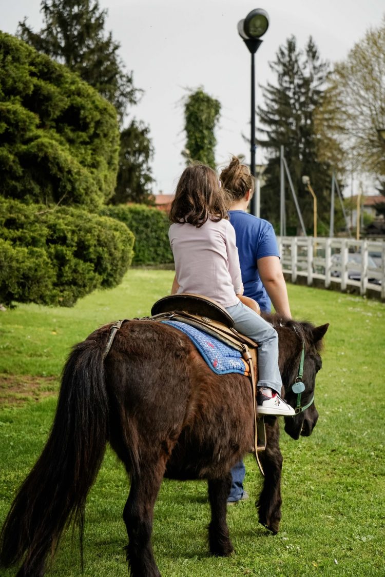 VINOVO – Il 1 novembre i bambini protagonisti con il ‘battesimo del cavallo’