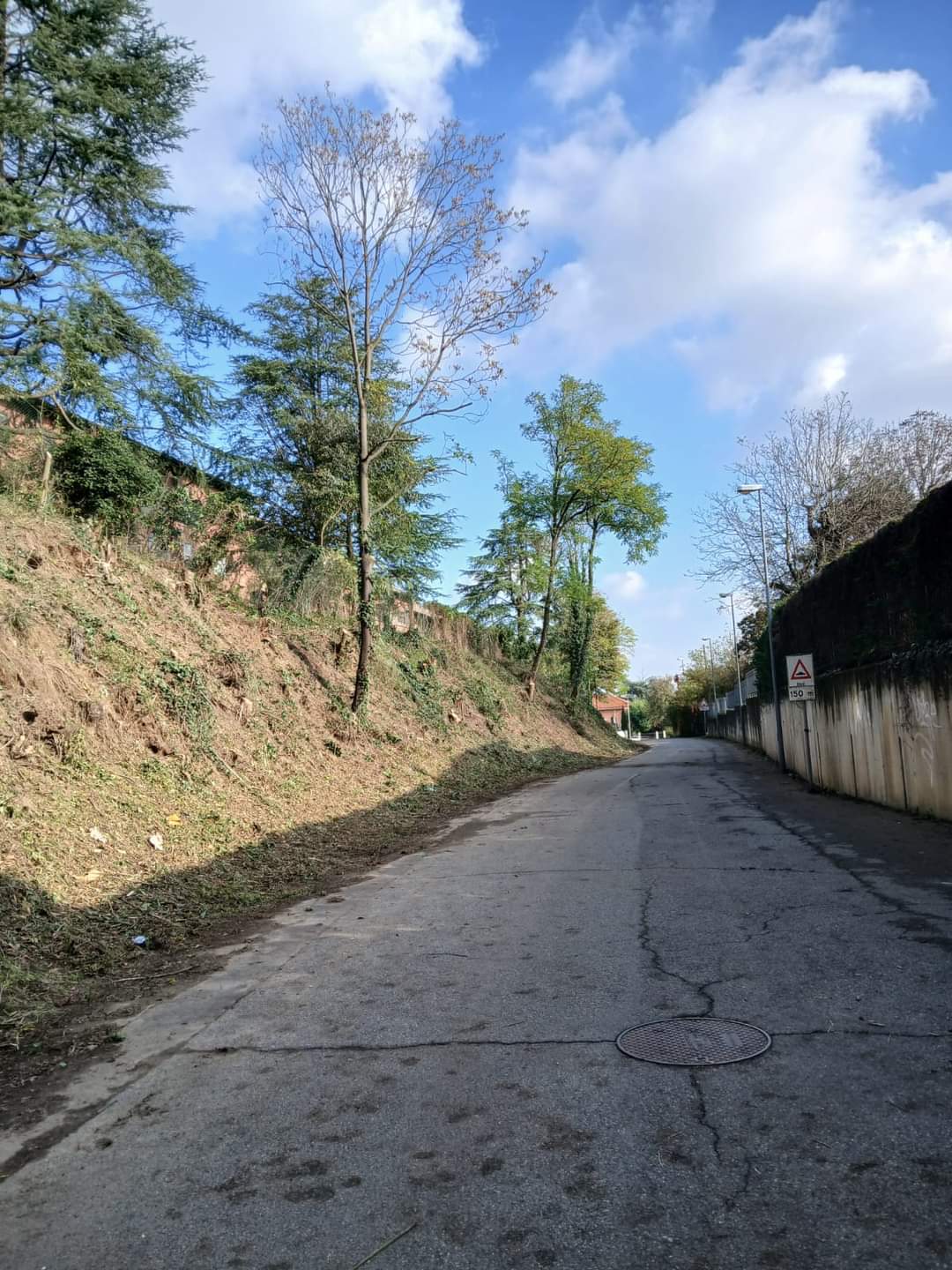 TROFARELLO – Taglio della vegetazione in via XXV Aprile